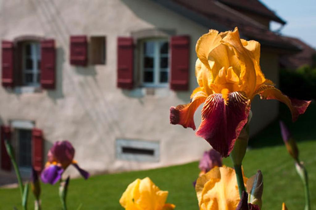 La Belle Saison Bed & Breakfast Mollens  Exterior photo